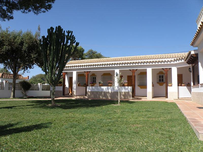 Hostal Las Acacias Лос-Каньос-де-Мека Экстерьер фото
