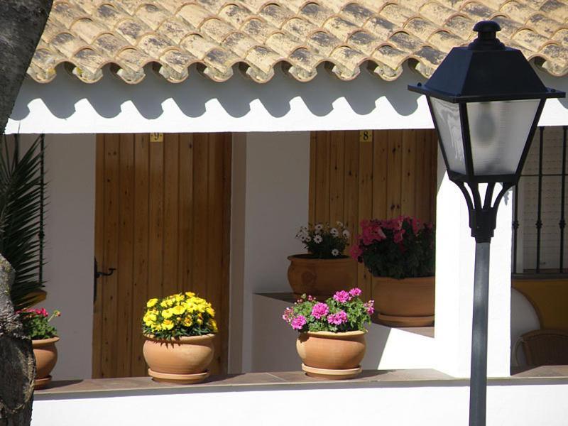 Hostal Las Acacias Лос-Каньос-де-Мека Экстерьер фото