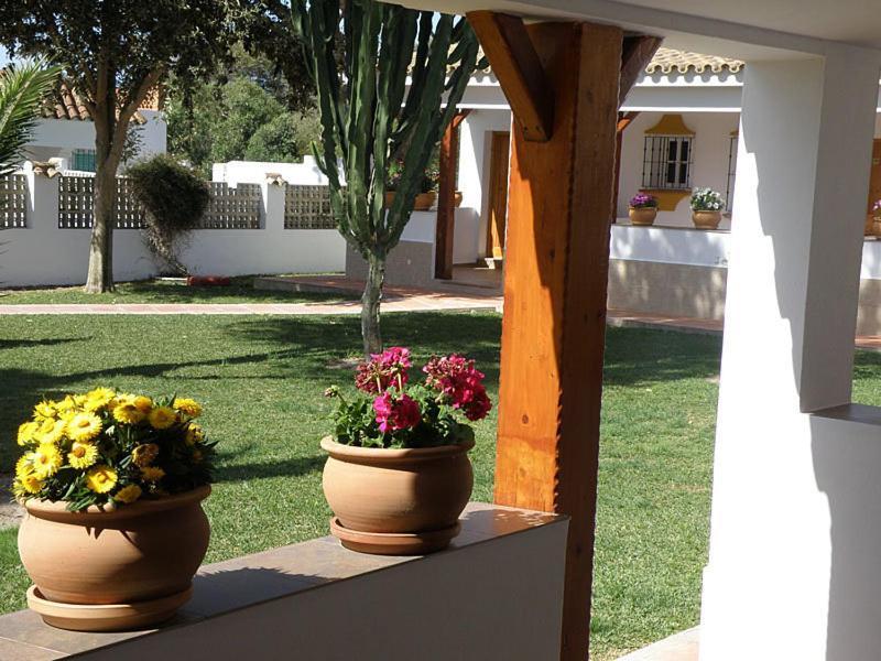 Hostal Las Acacias Лос-Каньос-де-Мека Экстерьер фото